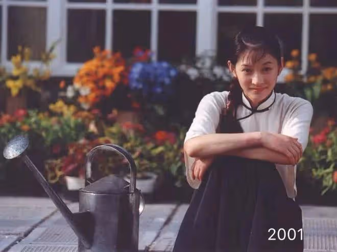給娛樂圈40歲以上的女星排個名,閆妮臉僵如石,殷桃風情萬種