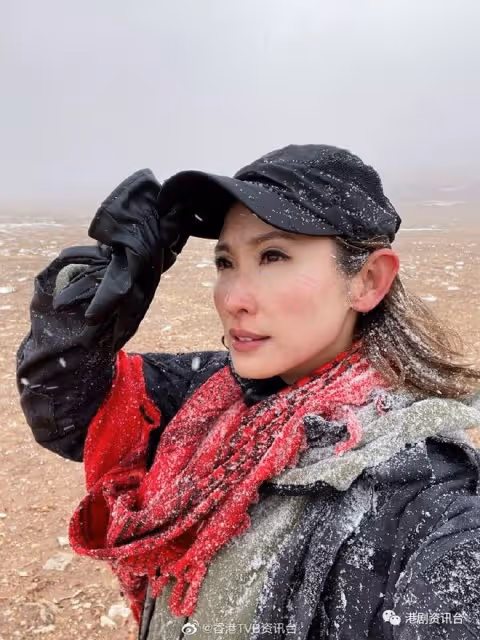 《無窮之路II》未播先紅！陳貝兒搵命博挑戰人體極限