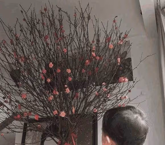 帶你看看謝天華的家,生活中一點都不「壞」,趴在地板上和孩子玩