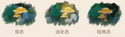 《原神》三相眾物是什麼