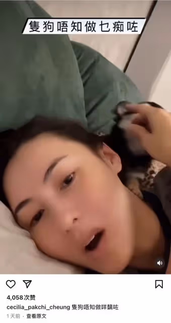 42歲張柏芝曬近況,與狗同眠意外被咬傷痛苦尖叫,曬傷勢滿手咬痕