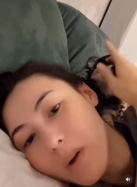 42歲張柏芝曬近況,與狗同眠意外被咬傷痛苦尖叫,曬傷勢滿手咬痕