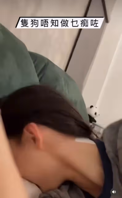 42歲張柏芝曬近況,與狗同眠意外被咬傷痛苦尖叫,曬傷勢滿手咬痕