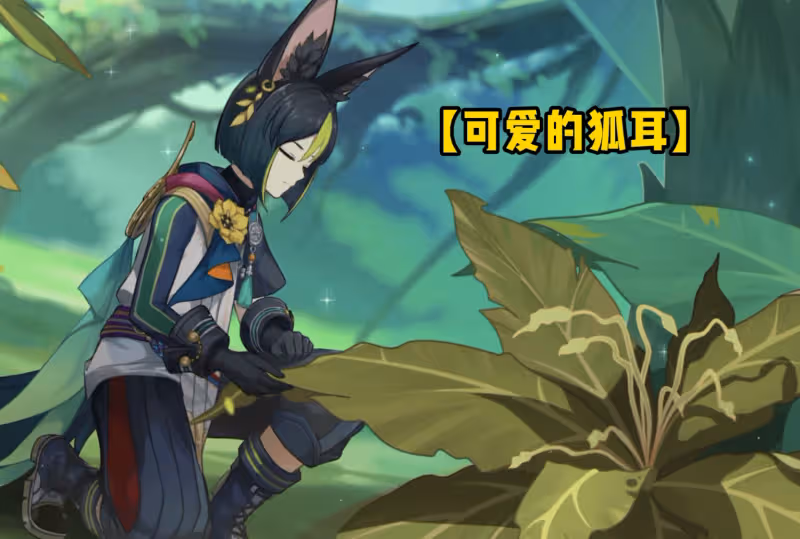 原神提納里PV成3.0牌面?一對狐耳+防水尾巴,隔壁五郎都饞哭了!