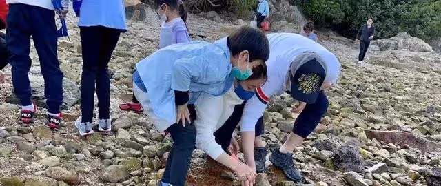 霍啟剛一家五口趕海,郭晶晶依舊低調樸素,用2元發圈引熱議