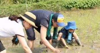 霍啟剛一家五口趕海,郭晶晶依舊低調樸素,用2元發圈引熱議