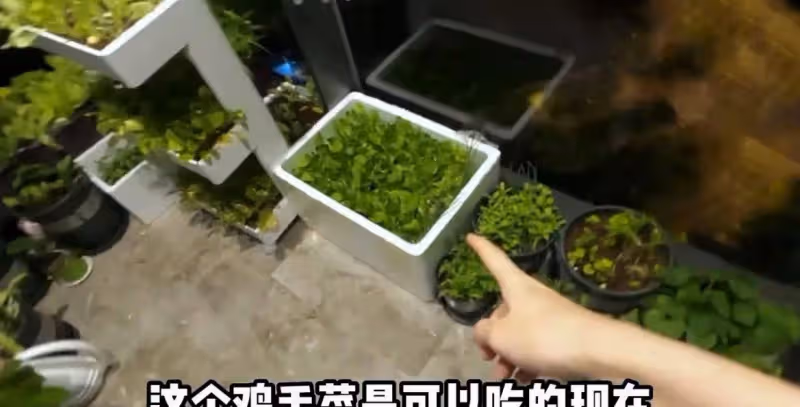 苗苗曬老公鄭愷回家vlog，一家團聚畫面超有愛，Ana見爸爸笑不停
