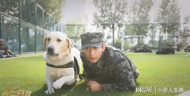 人紅是非多!王鶴棣熱搜不斷被批素質低,成毅待播劇被吐槽難看