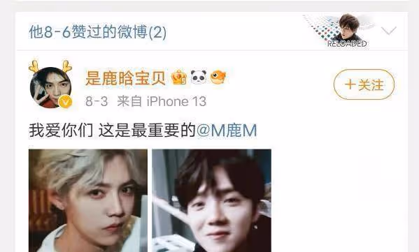 風評大反轉！鹿哈改名稱不想讓父母那麼辛苦，發視頻感謝鹿晗粉絲