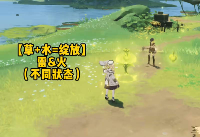 千字分析原神3.0的「多態轉換」,草系讓雷水起飛,提納里必抽!