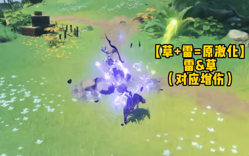 千字分析原神3.0的「多態轉換」,草系讓雷水起飛,提納里必抽!
