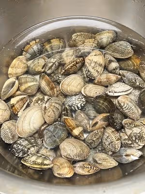 要不是😷真想去擺攤！！