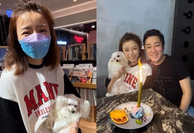 艾成母親寫親筆信保護兒媳,王瞳遭網暴首露面,整個人狀態不佳,因設施損壞為夫賠5萬