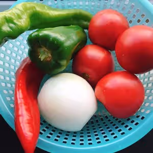 新疆菜·拉條子（拌面）