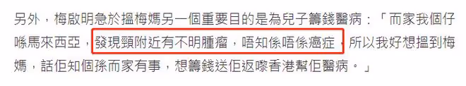 梅艷芳侄子長腫瘤疑患癌！梅啟明急尋99歲老母，望對方提供醫藥費