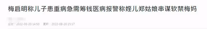 梅艷芳哥哥聲稱兒子疑患癌,急需梅媽籌錢治病,見不到母親忙報警