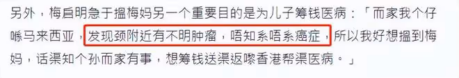 梅艷芳哥哥聲稱兒子疑患癌,急需梅媽籌錢治病,見不到母親忙報警