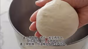 烤鴨披薩