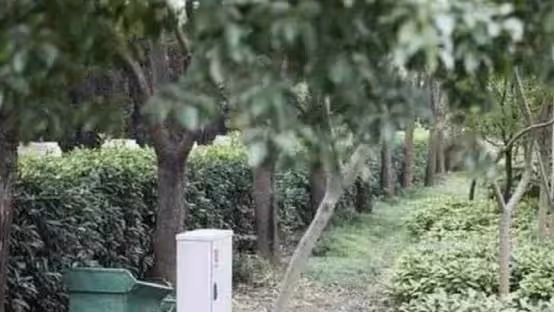 參觀李連杰上海的豪宅，花園變成菜地，陽台還掛著拖把，太荒涼了