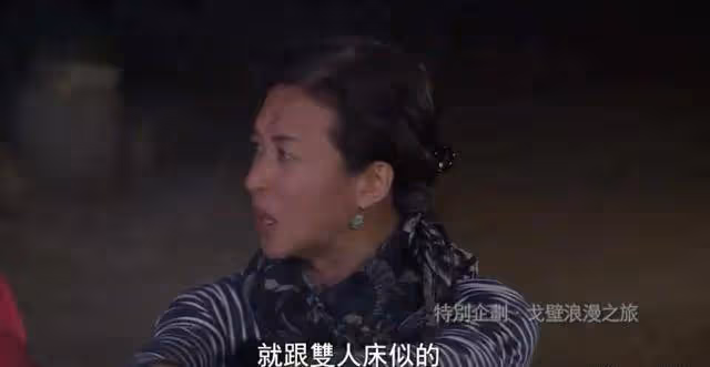 為了3個收養的孩子,金星和國外老公分手又復婚,背後故事很暖心