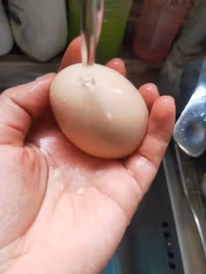 超嫩雞蛋羹（嬰幼兒都可以吃）