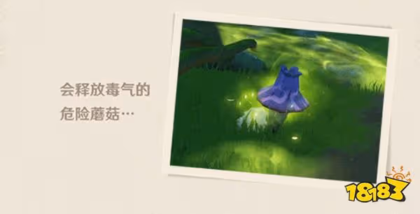 原神須彌新生物介紹 須彌解密會遇到什麼生物