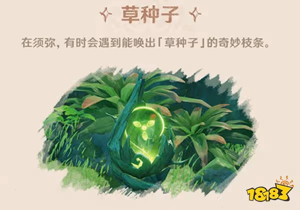原神須彌草種子介紹 須彌草種子是什麼
