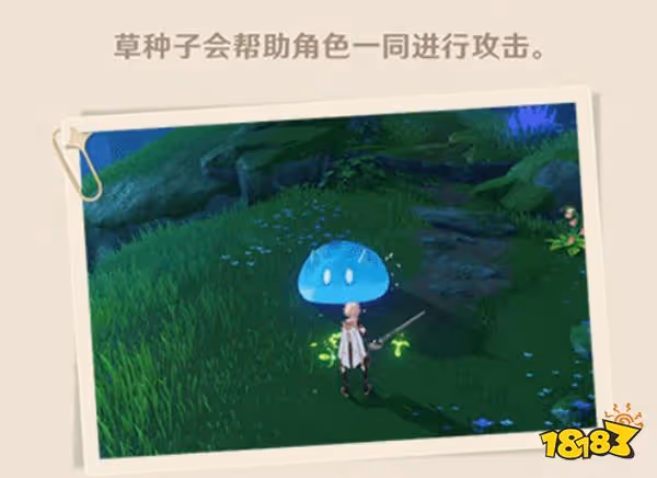 原神須彌草種子介紹 須彌草種子是什麼
