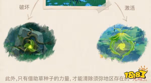 原神須彌草種子介紹 須彌草種子是什麼