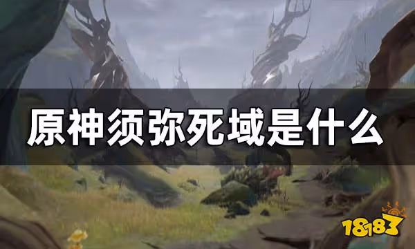 原神須彌死域介紹 須彌死域是什麼