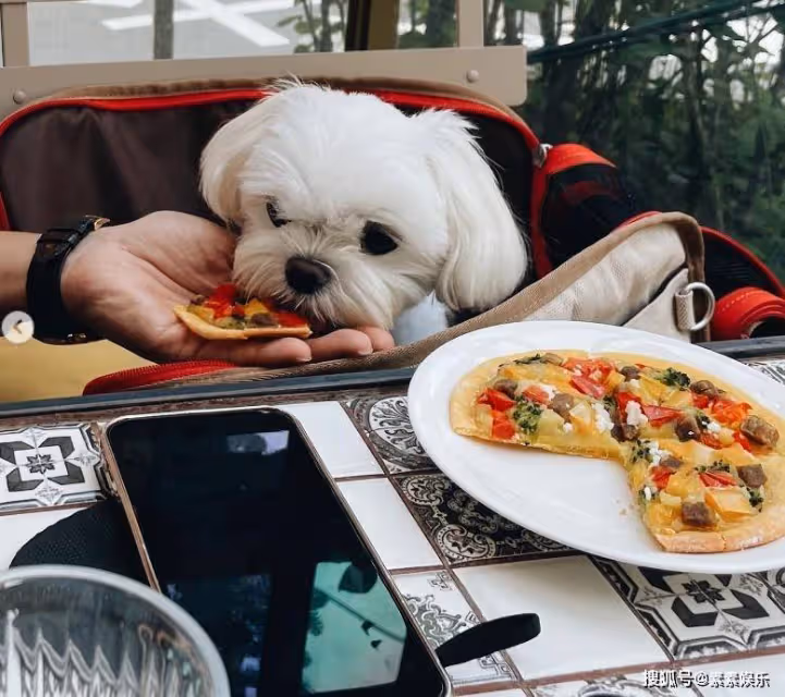 孫藝珍曬周六午餐，玄彬坐在一旁甜蜜喂食，孕婦餐豐富又健康