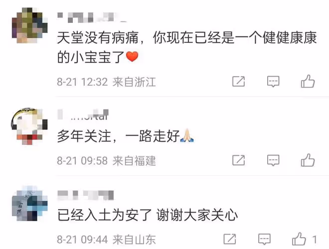 美女網紅胃癌去世僅35歲!三個月前半癱瘓不想治療,同學悲痛悼念