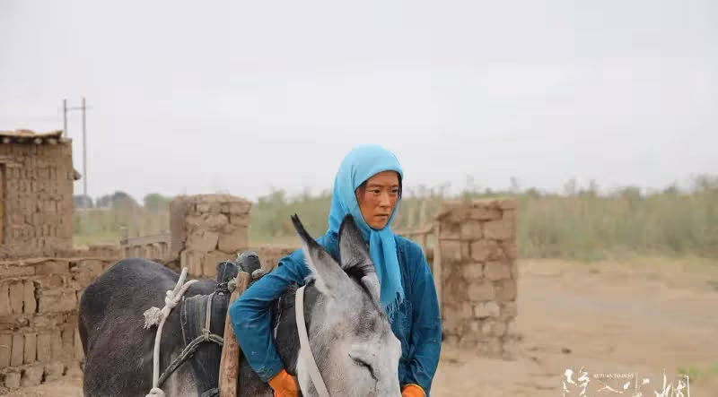 劇情片簡析《隱入塵煙》