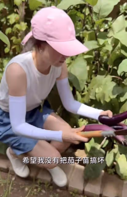 42歲董潔下泥地干農活，素顏穿短褲白到發光，徒手捏蟲拿鋤頭摘菜