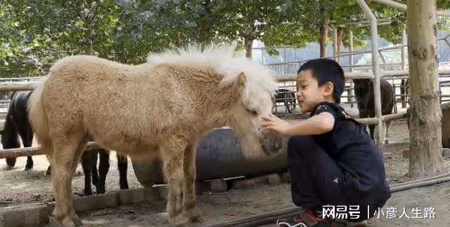 德雲社于謙發文,曬小兒子的日常,評論區畫風卻集體跑偏