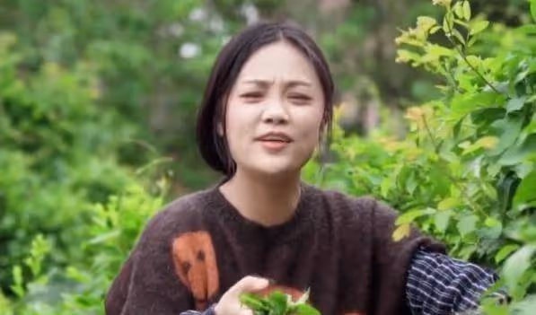 樊小慧：因粉絲量多遭嫉妒，被小網紅下場質疑，官媒親自為她正名
