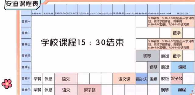 黃聖依公開5歲兒子課程表 被指不懂教育