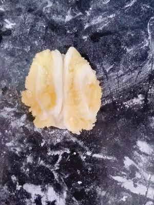 奶香饅頭,附椰蓉花捲整形（零失敗）