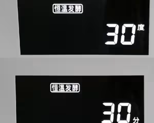 皇家至尊八角星大蝦三文魚披薩【松下蒸烤箱NU-JA102W】
