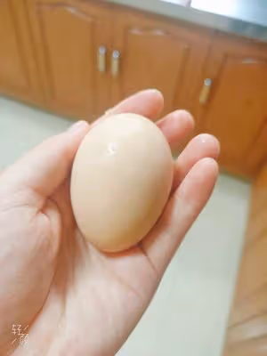 拔牙後流食