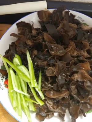 家常魚香肉絲