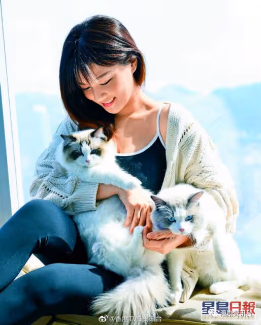 馬國明慘成犧牲品歪嘴外臉！女友P圖過分變得下巴尖尖