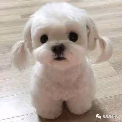 生圖狀態如何？