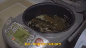 低脂營養零廚藝的沼澤燜飯 Numa(Swamp)
