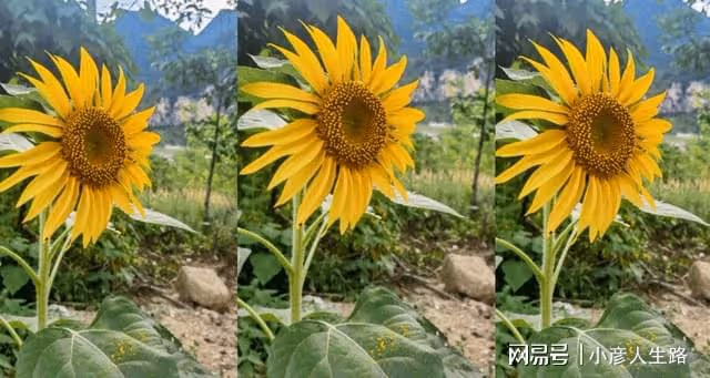 楊櫧策驅車4h找余秀華道歉,透露直播帶貨僅賺2W,也學余秀華賣書