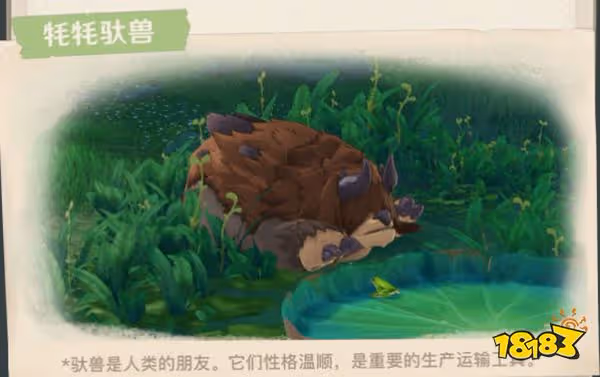 原神須彌全新敵人及生物一覽 須彌有哪些新敵人和生物