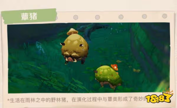 原神須彌全新敵人及生物一覽 須彌有哪些新敵人和生物
