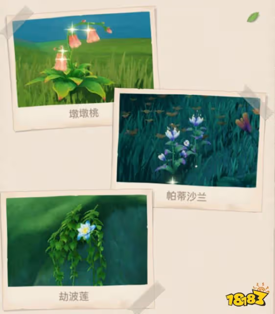 原神須彌全新敵人及生物一覽 須彌有哪些新敵人和生物