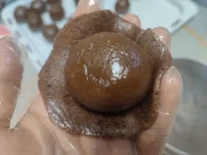 原創首發——廣式生椰拿鐵軟心月餅