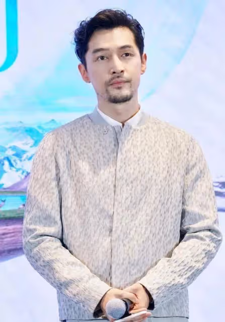 林志穎整容後狀態不佳，很難恢復以前的容貌，讓人想起胡歌的車禍